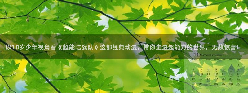 星辰耽漫网：以18岁少年视角看《超能陆战队》这部经典动漫，带你走进超能力的世界，无数惊喜！