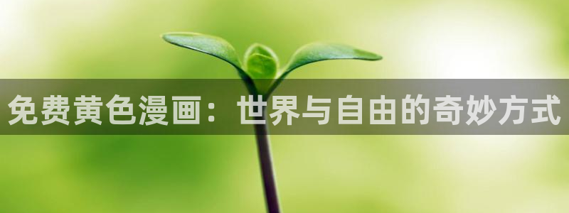 耽耽漫网：免费黄色漫画：世界与自由的奇妙方式