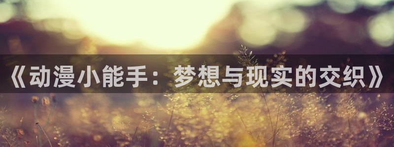 耽漫网之家动漫之家：《动漫小能手：梦想与现实的交织》