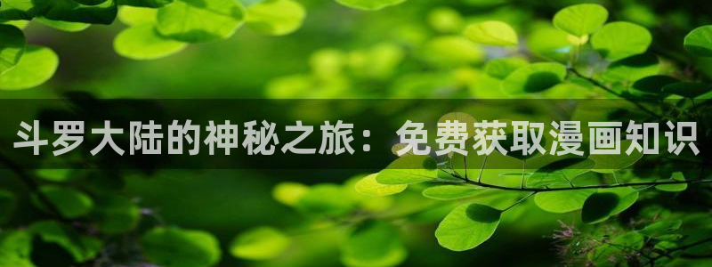 耽漫网：斗罗大陆的神秘之旅：免费获取漫画知识