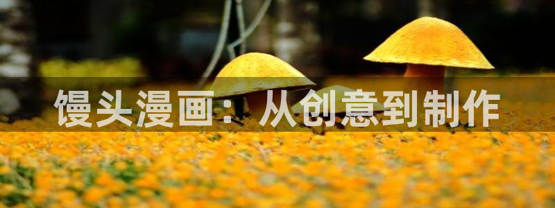 耽漫网之家动漫之家：馒头漫画：从创意到制作